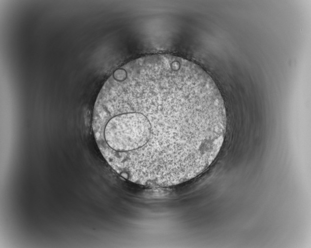 X0000096640672200802261259