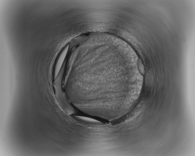 X0000096640673200802261258