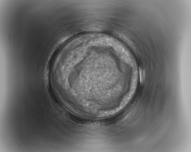 X0000096640675200802261258