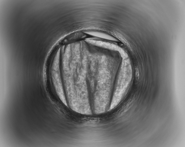 X0000096640676200802261258