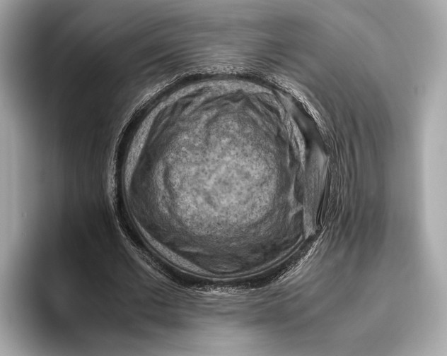 X0000096640677200802261258