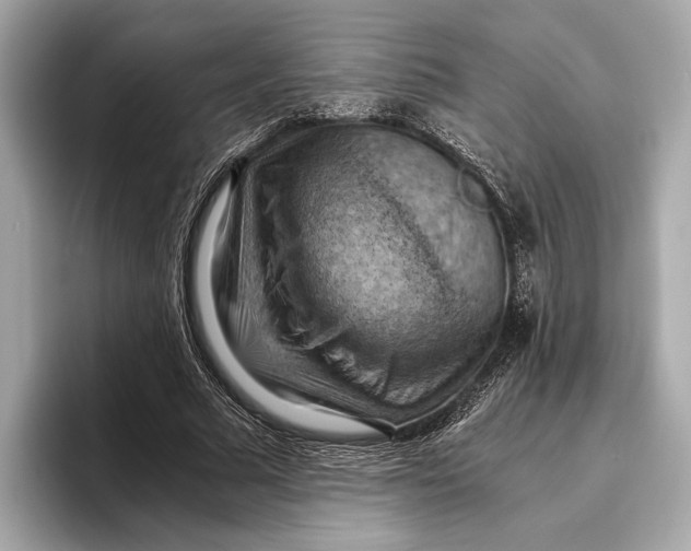 X0000096640681200802261258