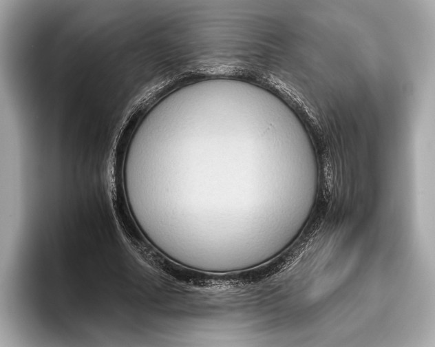 X0000096640682200802261258