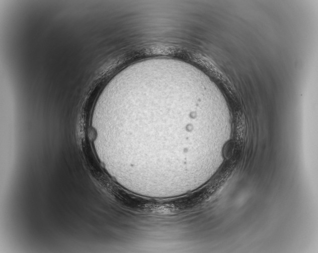 X0000096640683200802261258