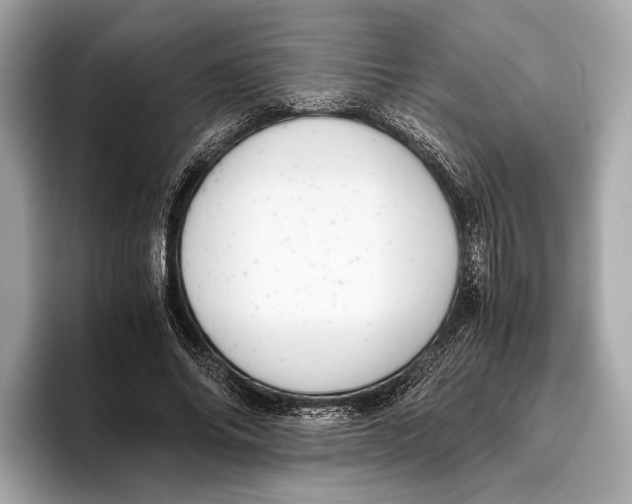 X0000096640686200802261258