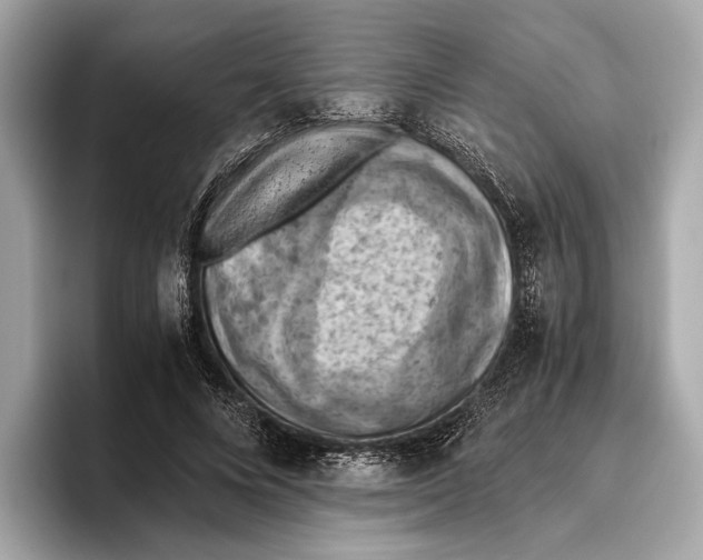 X0000096640688200802261258