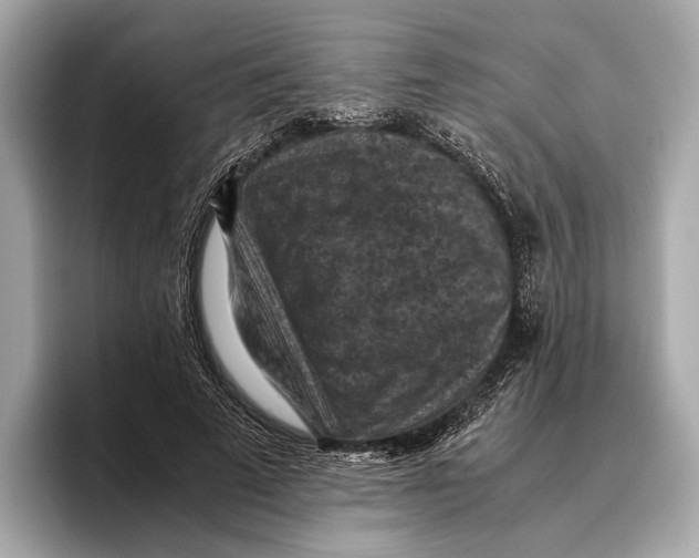 X0000096640689200802261258