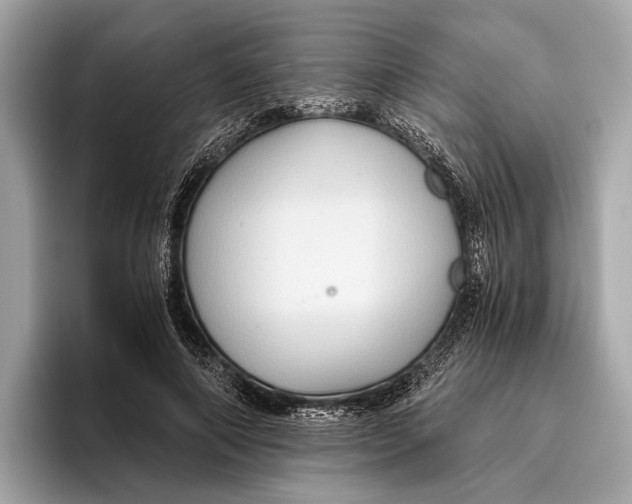 X0000096640690200802261258