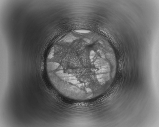 X0000096640691200802261258