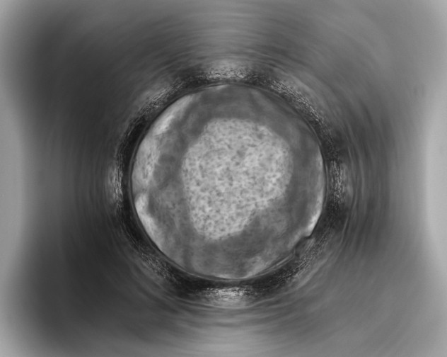 X0000096640692200802261258