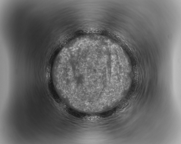 X0000096640695200802261258