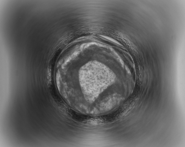 X0000096640696200802261258