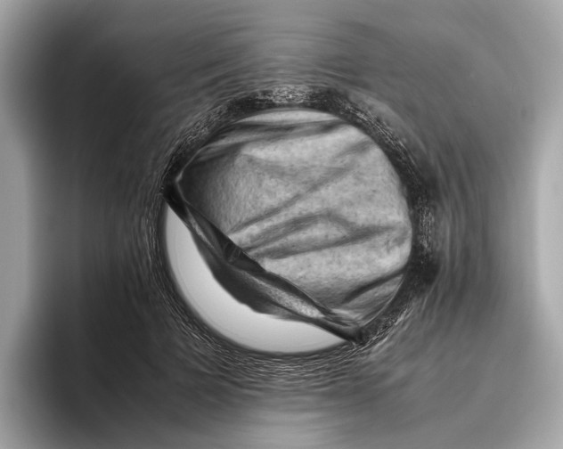 X0000096640697200802261258