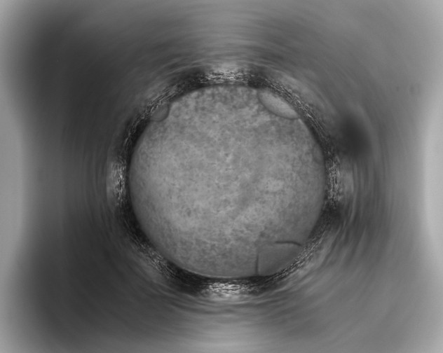 X0000096640699200802261258