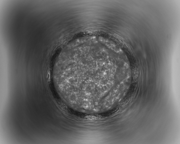 X0000096640703200802261258