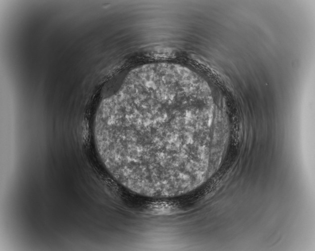 X0000096640704200802261258