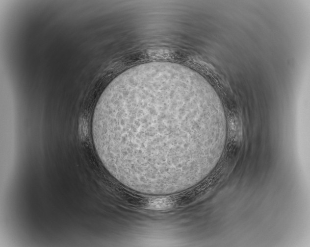 X0000096640705200802261258