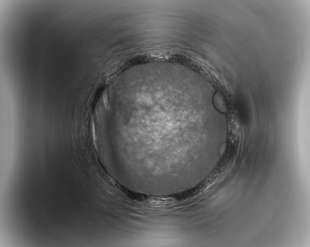 X0000096640707200802261258