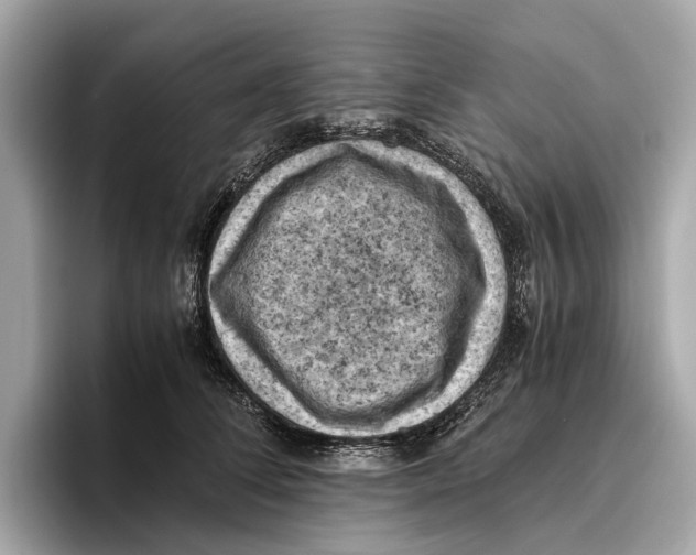 X0000096640708200802261258