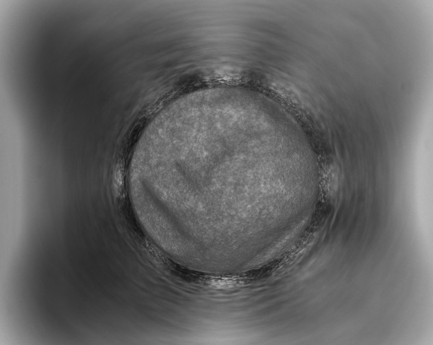 X0000096640709200802261258