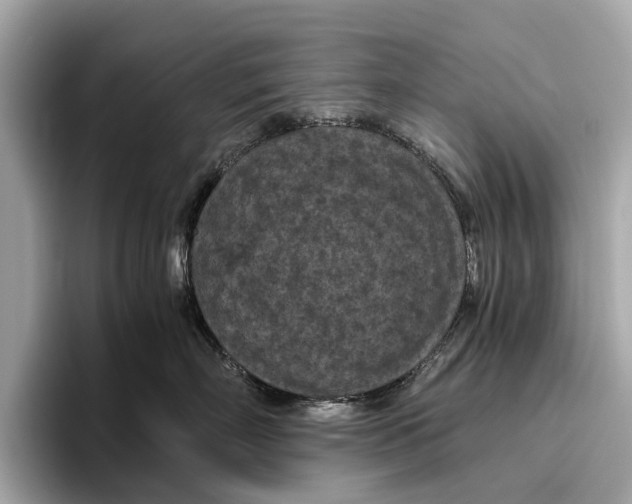 X0000096640718200802261258