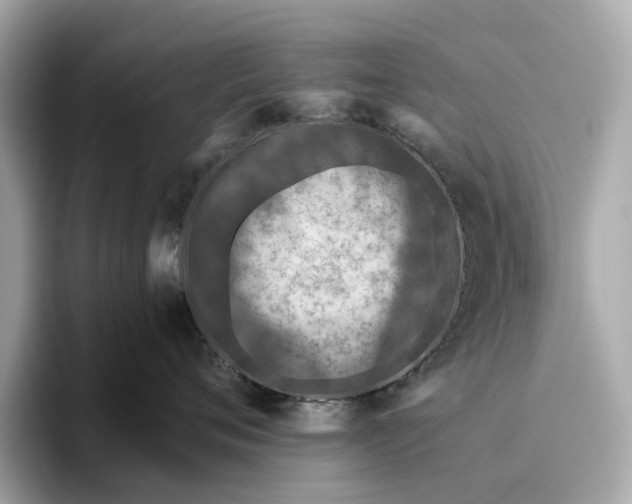 X0000096640720200802261258