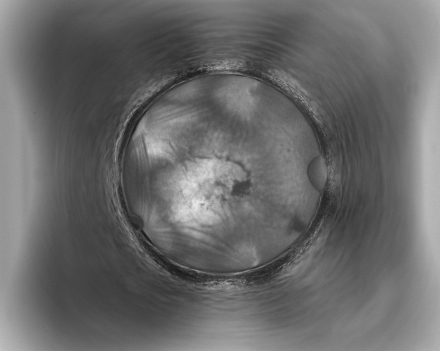 X0000096640721200802261257