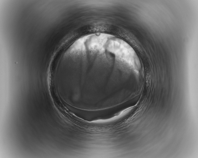 X0000096640722200802261257