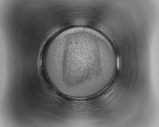 X0000096640723200802261257