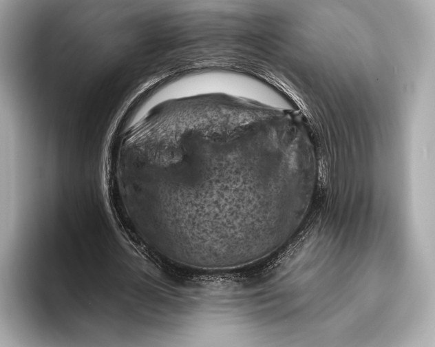 X0000096640724200802261257