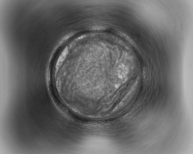 X0000096640726200802261257