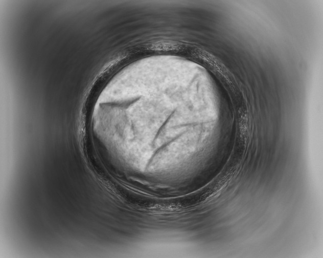 X0000096640727200802261257