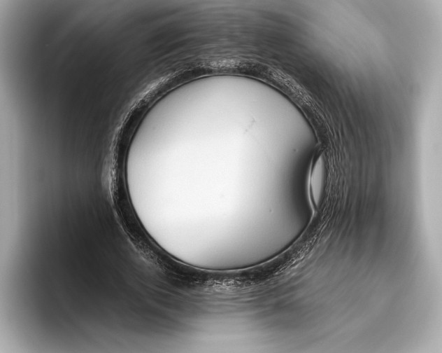 X0000096640728200802261257