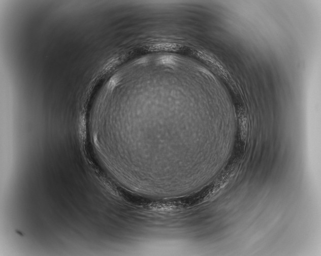 X0000096640729200802261257