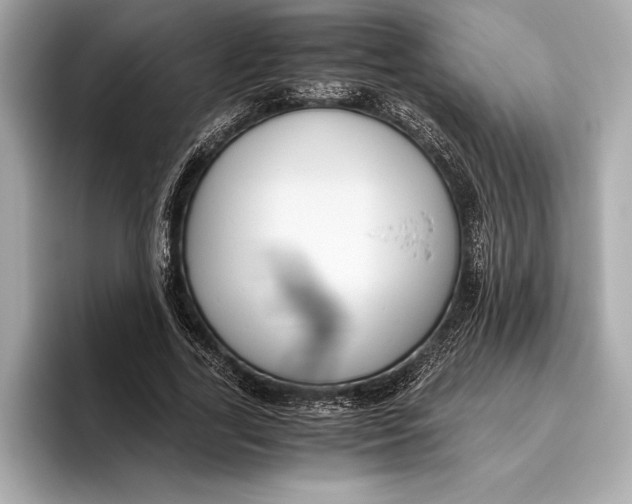 X0000096640731200802261257