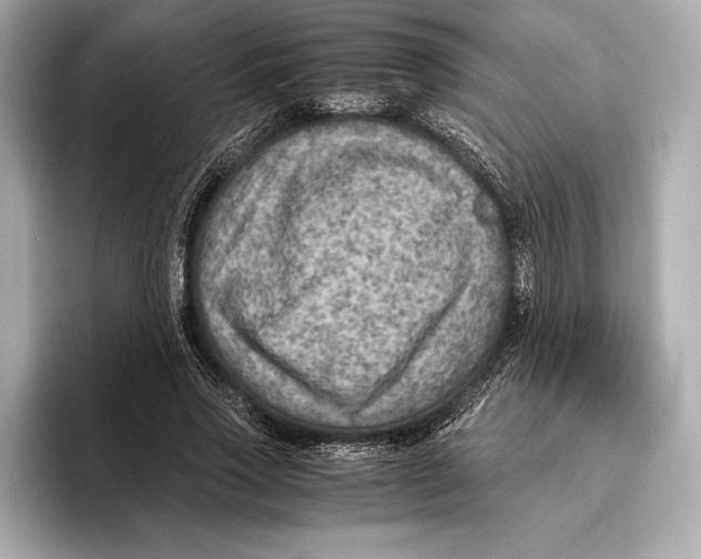 X0000096640733200802261257