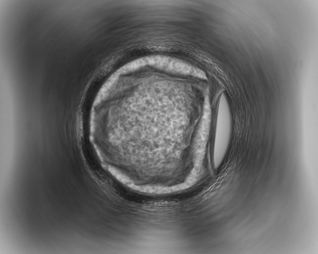 X0000096640734200802261257