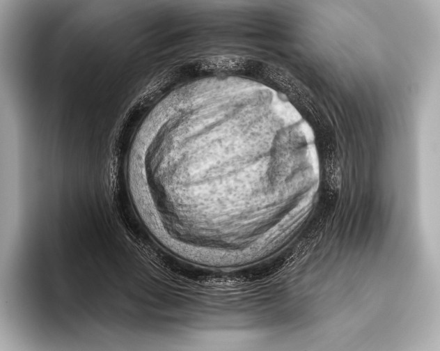 X0000096640735200802261257