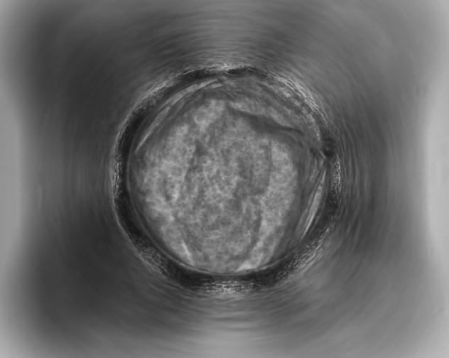 X0000096640736200802261257