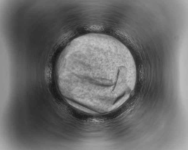 X0000096640739200802261257