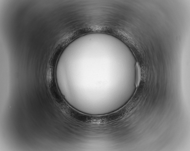 X0000096640740200802261257