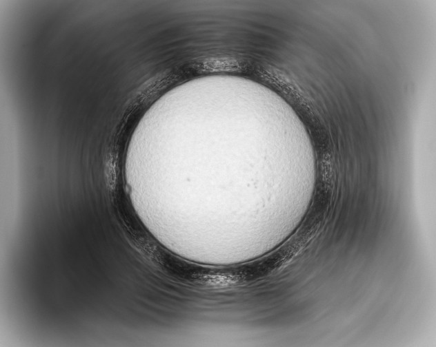 X0000096640741200802261257