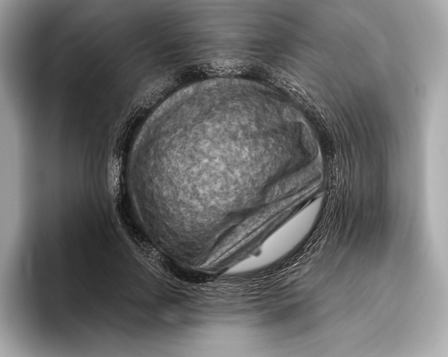 X0000096640742200802261257