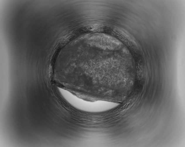 X0000096640748200802261257