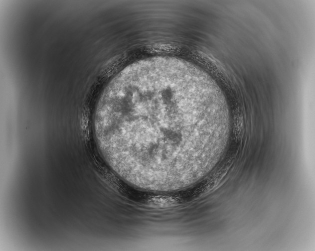 X0000096640749200802261257