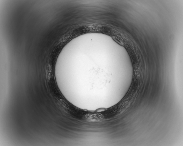 X0000096640752200802261258