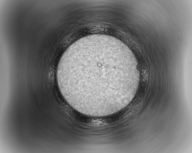 X0000096640753200802261258