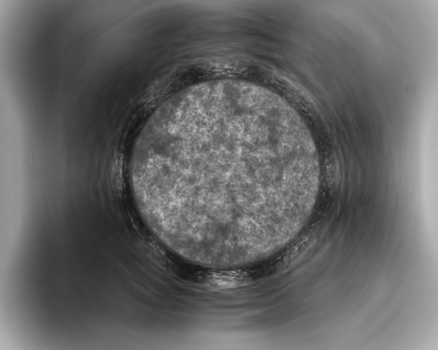 X0000096640757200802261258