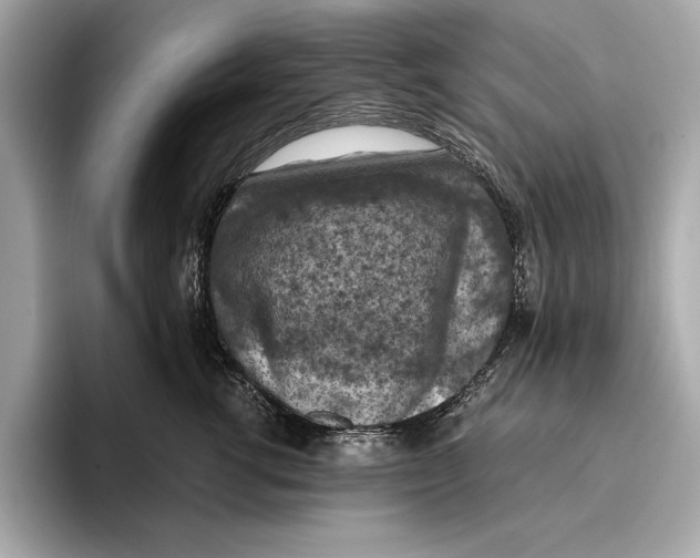 X0000096640762200802261258