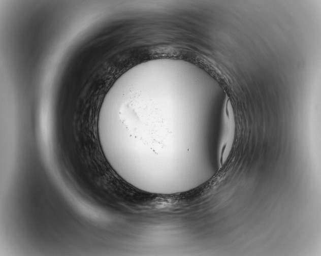 X0000096640764200802261258